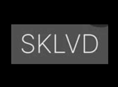 SKLVD FRANCHISE: Deception, disappointment and loss of trust - the reality behind the façade of promises
